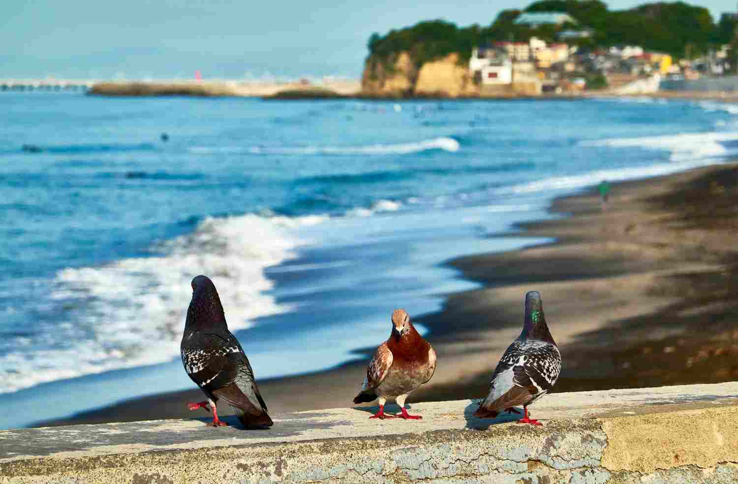 Bretignolles sur mer